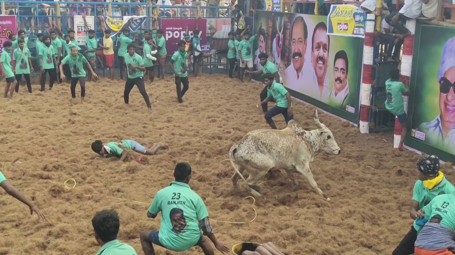 ஜெயலலிதா பிறந்த நாளையொட்டி அதிமுக சார்பில் ஜல்லிக்கட்டு.. 600 காளைகள், 350 மாடுபிடி..