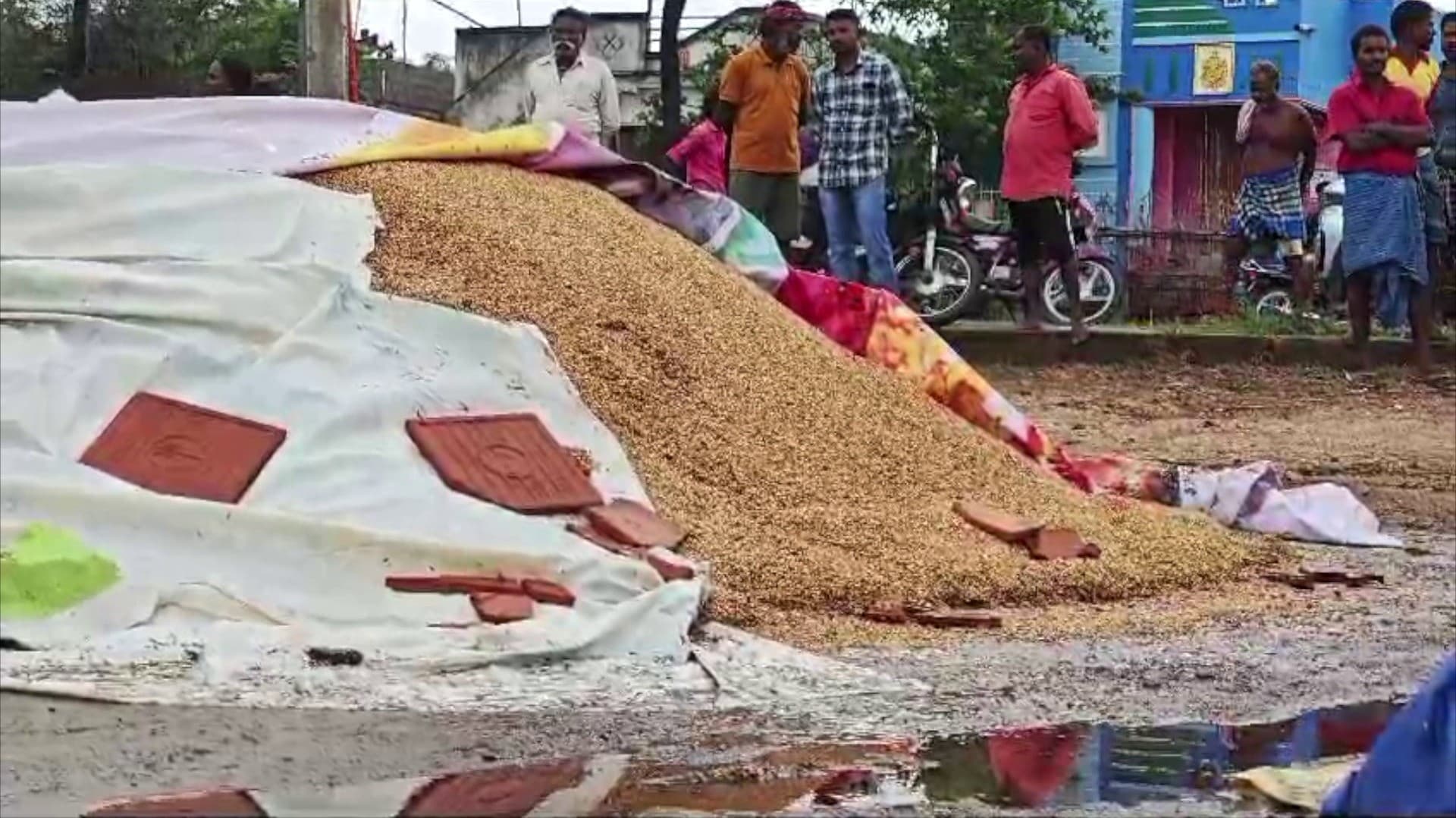 கள்ளக்குறிச்சியில் அதிகாலை பெய்த திடீர் மழையால் நெல் சேதம்..