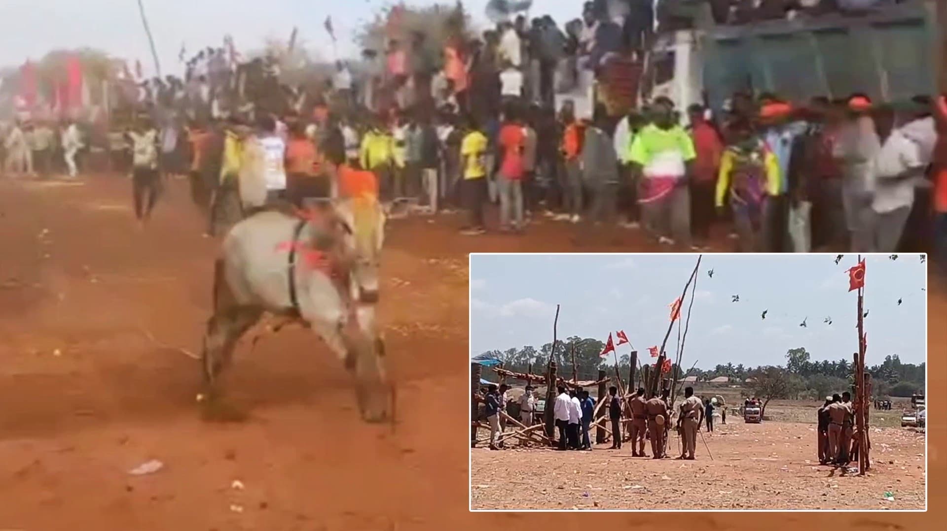 எருதுவிடும் விழாவை துவக்கி வைத்த திமுக எம்.எல்.ஏ.. தடுத்து நிறுத்திய வி.ஏ.ஓ..!
