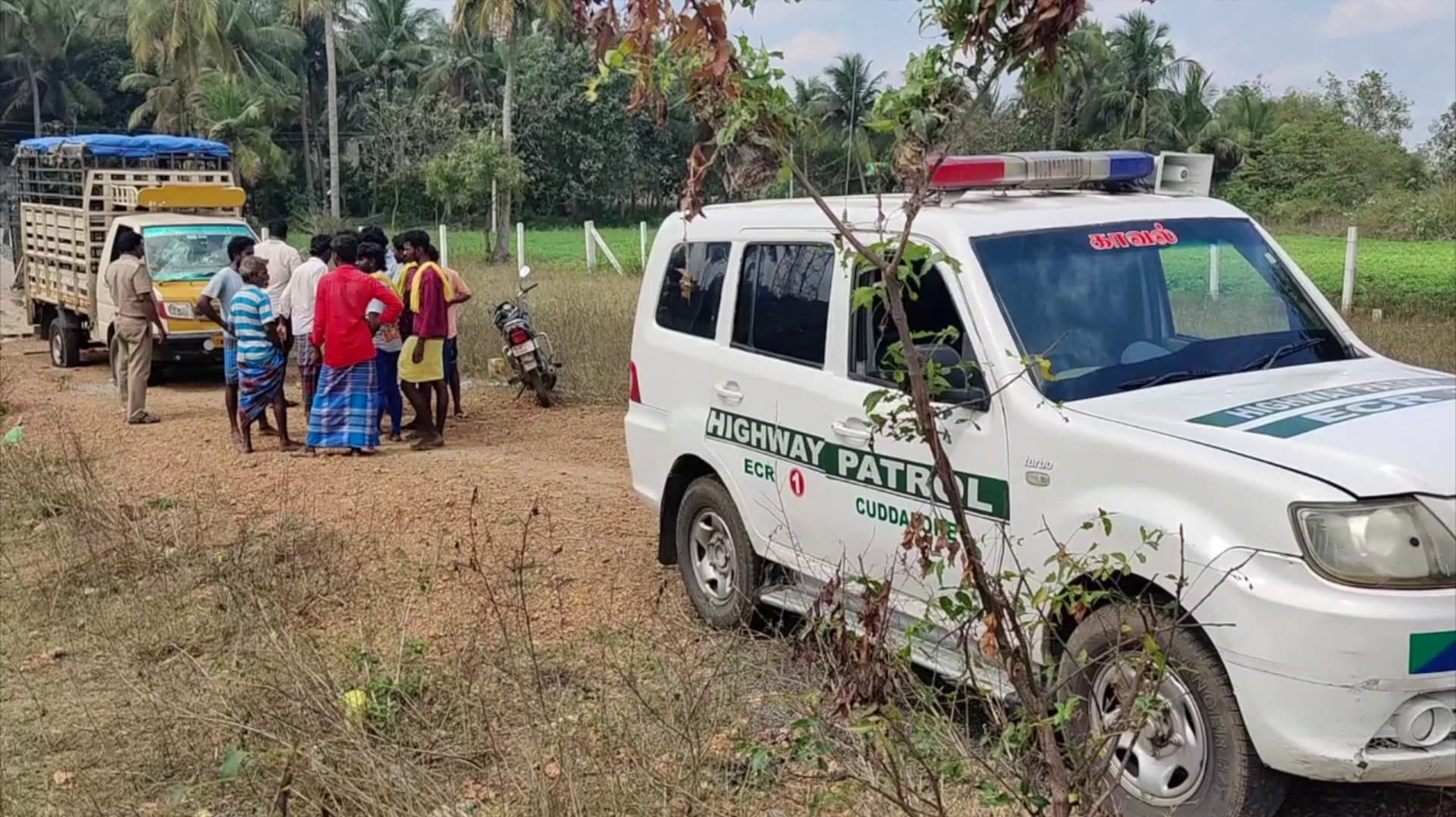 சாலைகளில் வாகன ஓட்டிகளுக்கு இடையூறாக சுற்றத்திரிந்த பன்றிகளை பிடிக்க வந்தவர்கள் மீது தாக்குதல்