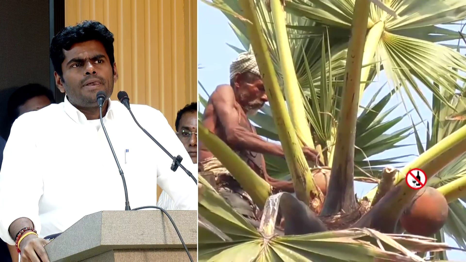 மற்ற மதுபானங்களோடு கள்ளை ஒப்பிடுவது தவறு: அண்ணாமலை