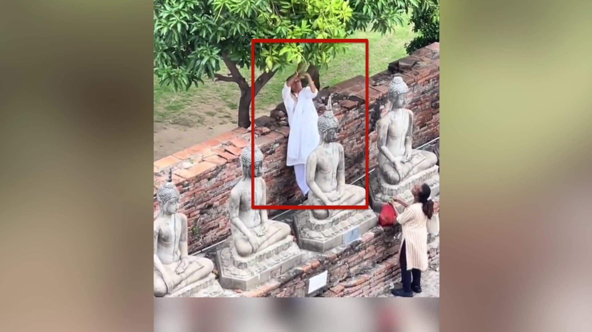 தாய்லாந்து புத்தர் கோவிலில் மாங்காய் திருடிய இந்தியப் பெண்