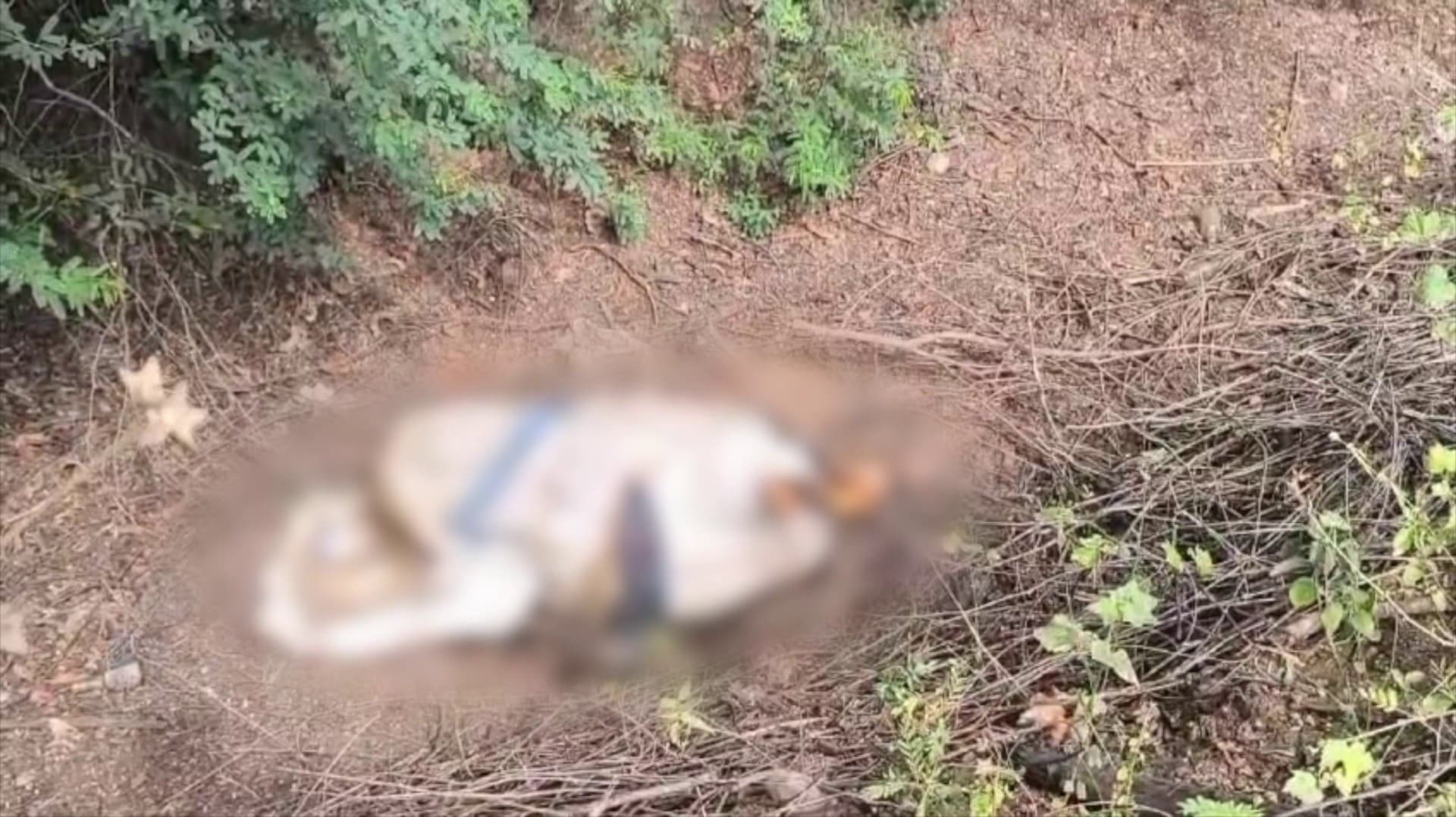 நகைக்காக பெண்ணை கொன்று சாக்கு மூட்டையில் கட்டி வீசிய 2 பேர் கைது