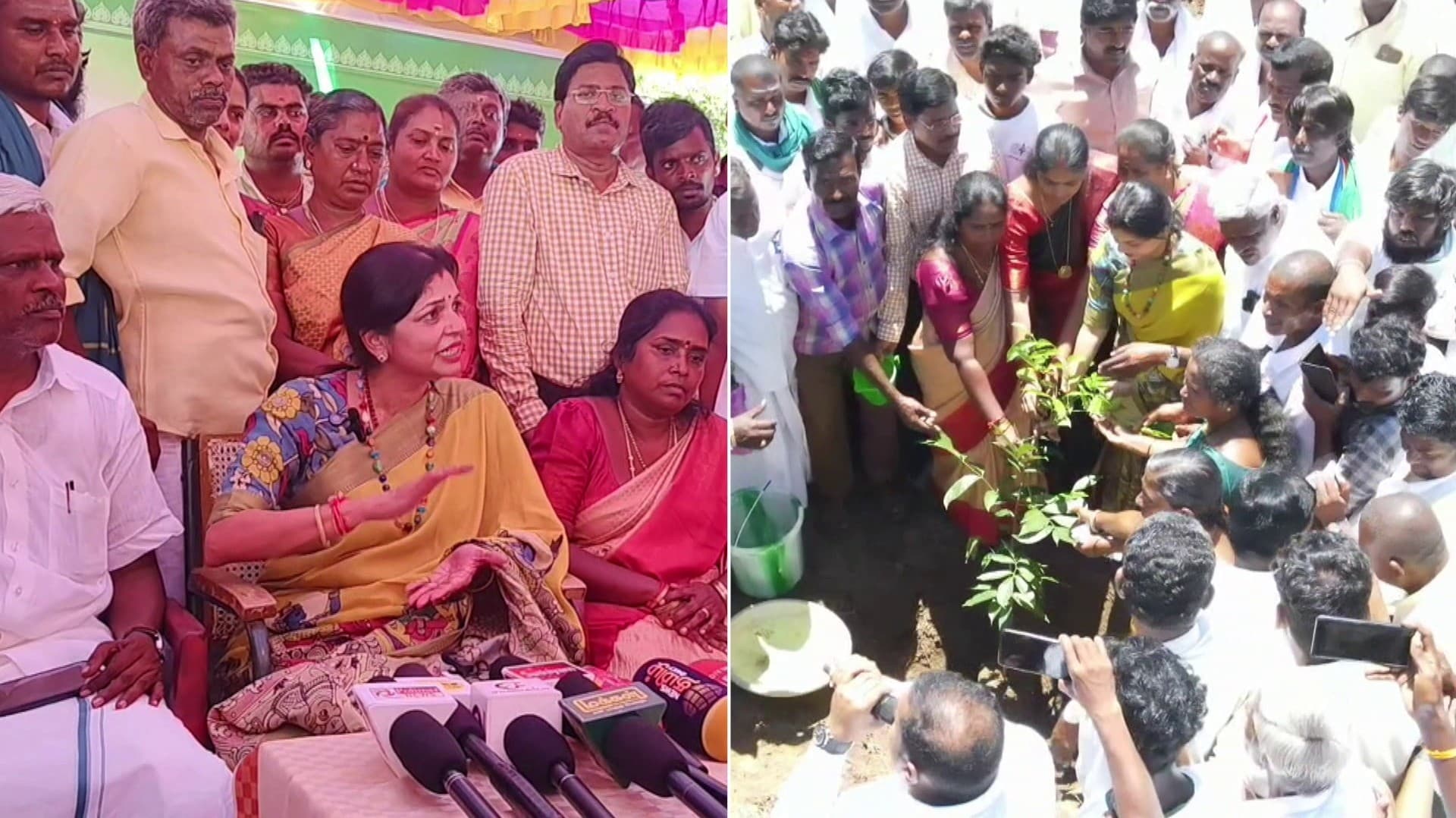 காடுகள் அழிக்கப்பட்டு வரும் நிலையில் பசுமை காடுகளை உருவாக்க வேண்டும் - சௌமியா அன்புமணி