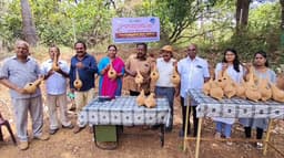 உலக சிட்டுக்குருவி தினம்- செயற்கை கூடுகள் வழங்கும் நிகழ்ச்சி..