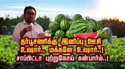 தர்பூசணிக்கு இனிப்பு ஊசி.. உஷார்.. மக்களே உஷார்..!  சாப்பிட்டா புற்றுநோய் கன்பார்ம்..!