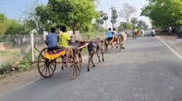 விறுவிறுப்பாக நடைபெற்ற மாட்டு வண்டி பந்தயம்..! எல்லையை நோக்கி பாய்ந்து சென்ற ஜோடி மாட்டு வண்டிகள்..