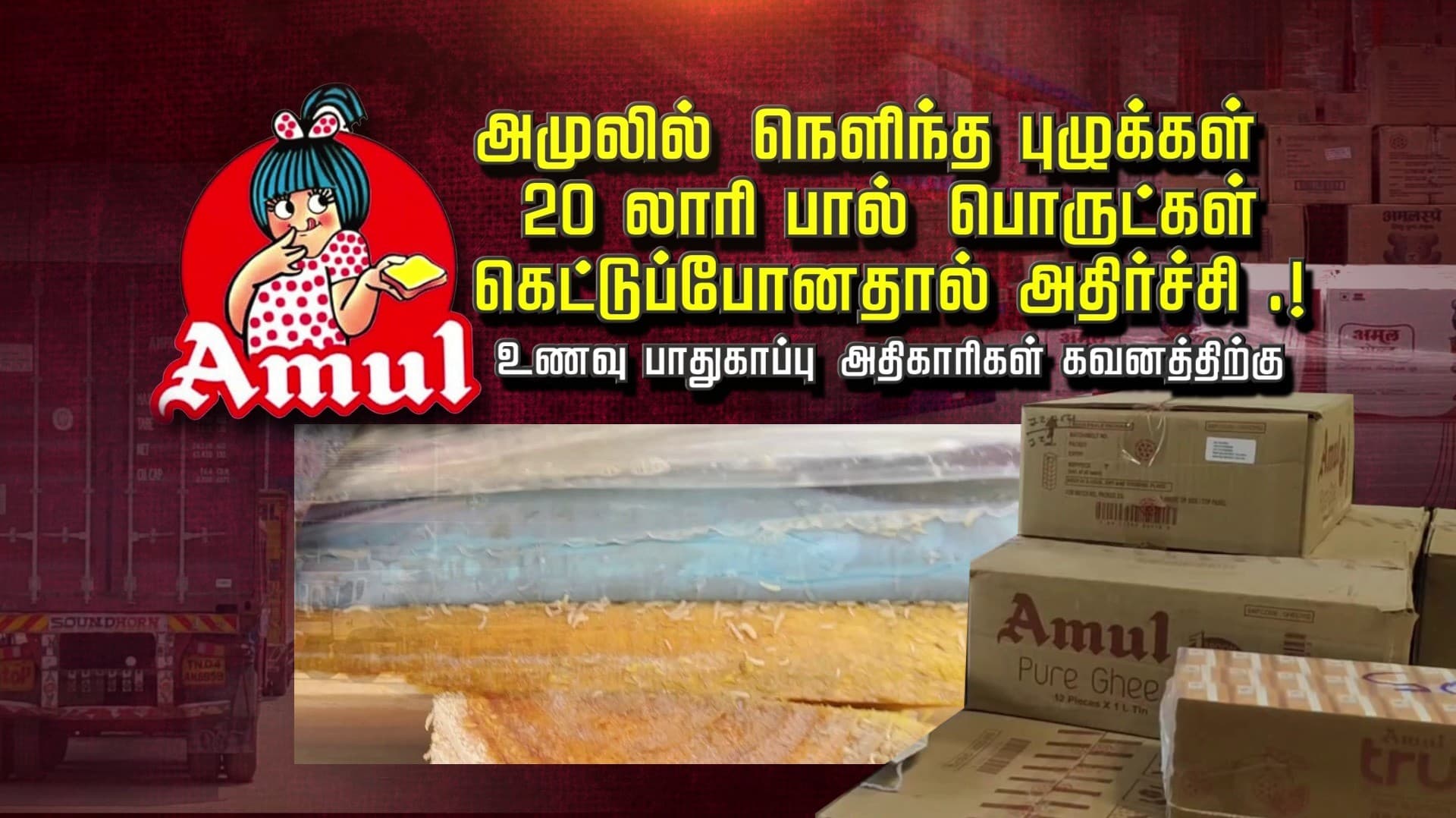அமுலில் நெளிந்த புழுக்கள்.. 20 லாரி பால் பொருட்கள்.. கெட்டுப்போனதால் அதிர்ச்சி..! உணவு பாதுகாப்பு அதிகாரிகள் கவனத்திற்கு..