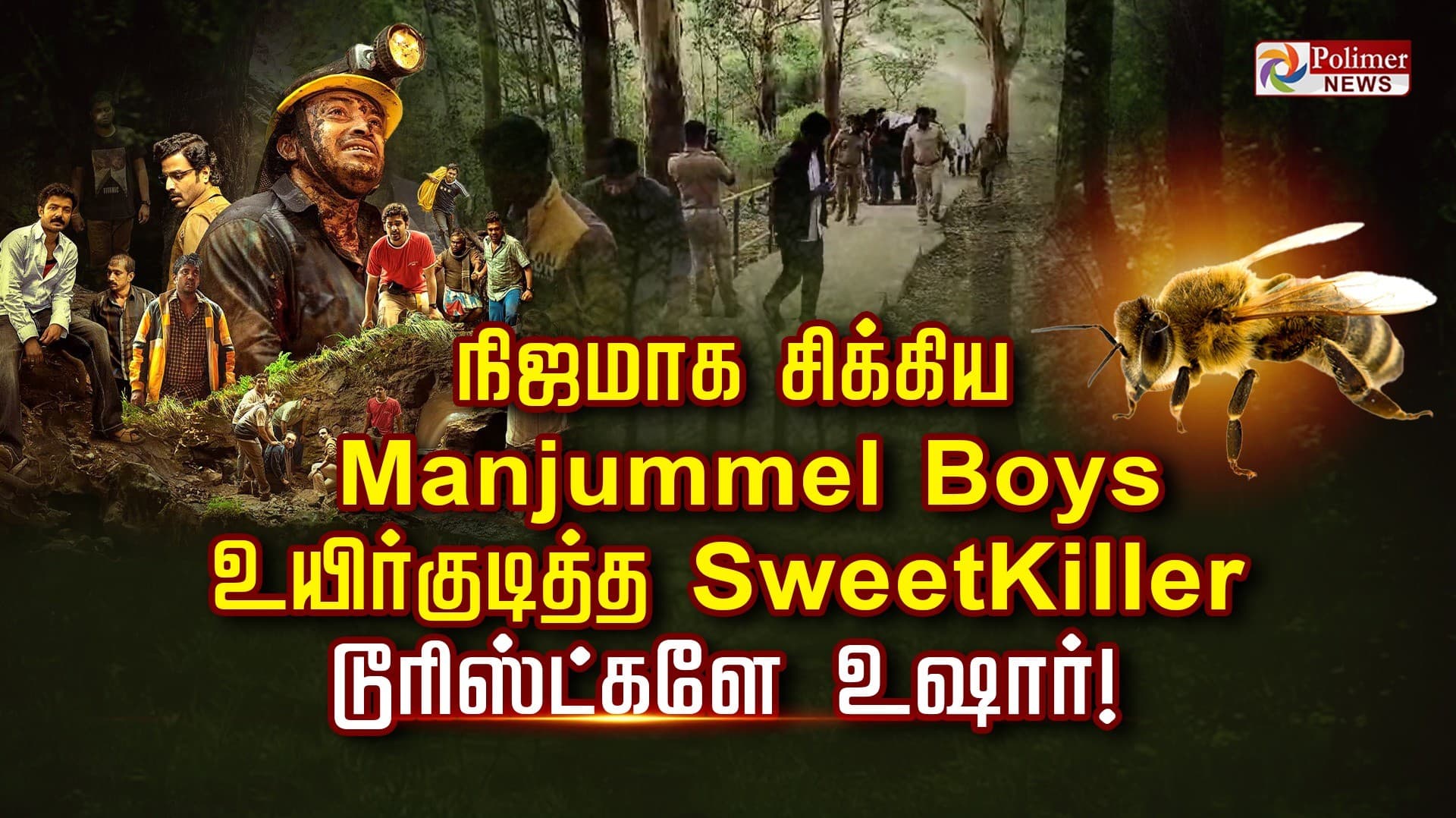 நிஜமாக சிக்கிய Manjummel Boys..! உயிர்குடித்த Sweet Killer..! டூரிஸ்ட்களே உஷார்!