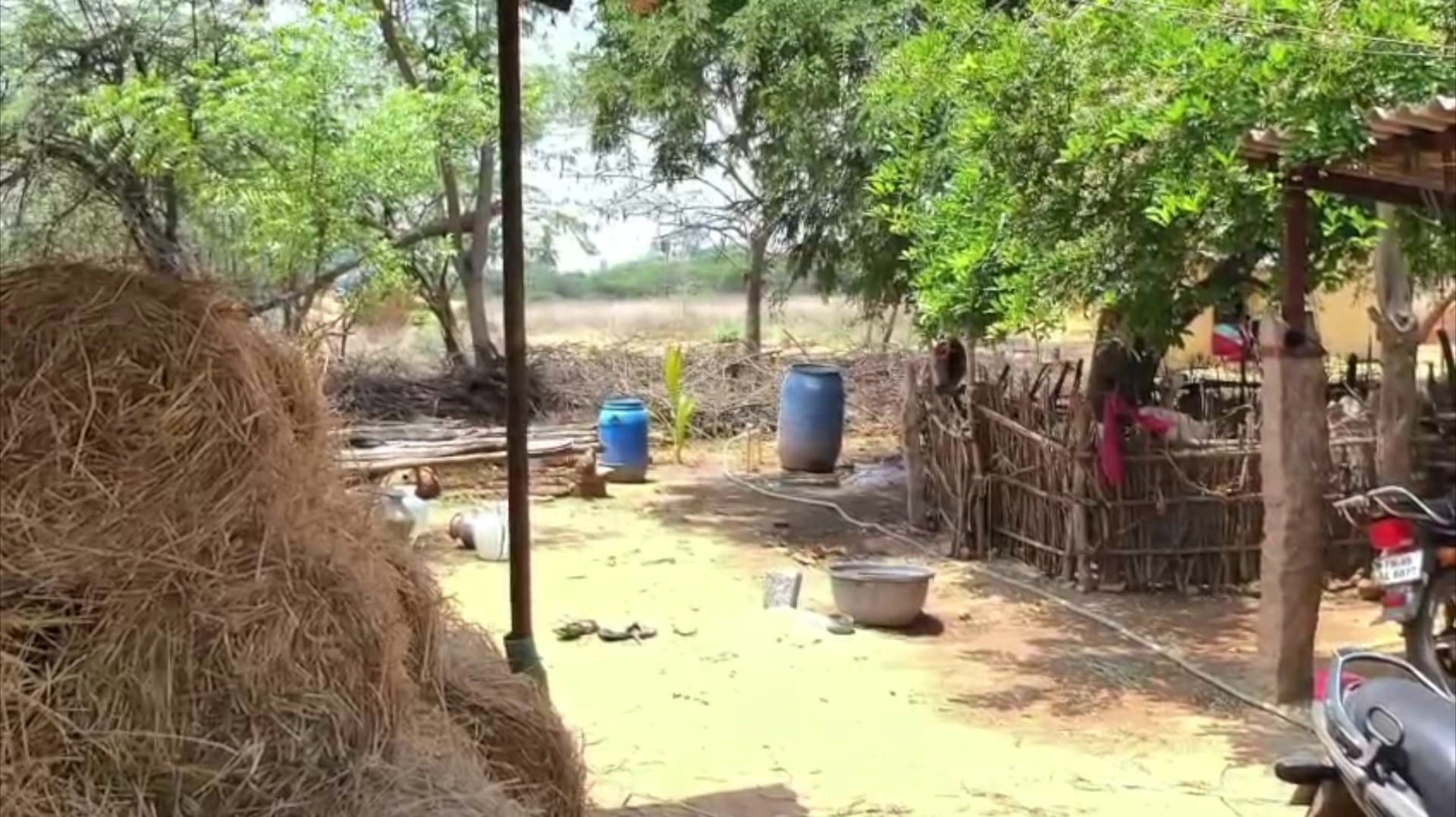 புலியூரில் தண்ணீர் பேரலில் இருந்து 5 மாத குழந்தை சடலம் மீட்பு