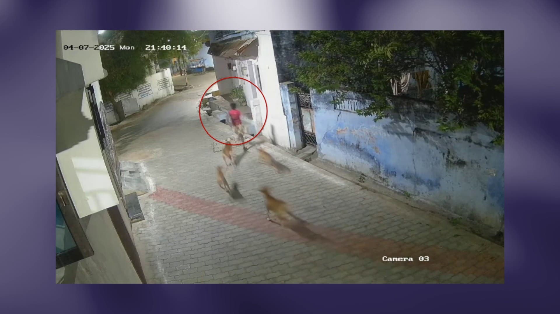 தனியாக நடந்துச் சென்ற சிறுவனை 5 தெருநாய்கள் துரத்திச் செல்லும் சி.சி.டி.வி காட்சி