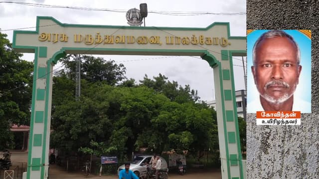 தருமபுரி அருகே தேனீக்கள் கொட்டியதில் 60 வயது நபர் உயிரிழப்பு
