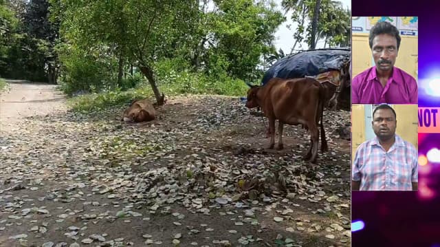 கால் நடை மருத்துவர்கள் என நாடகமாடி பசுமாடுகள் திருடிய கள்வன்