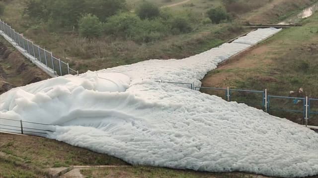கெலவரப்பள்ளி நீர்த்தேக்கத்திலிருந்து தண்ணீர் வெளியேற்றம்...  பொங்கிப் பெருகும் ரசாயன நுரை