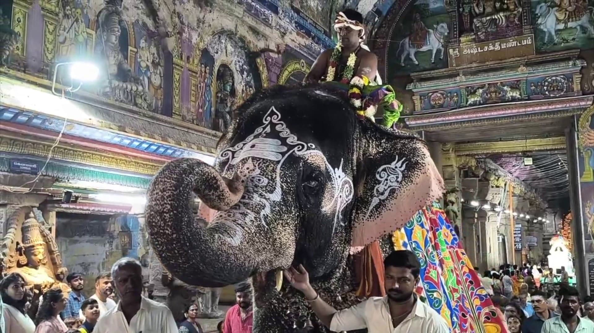 விமரிசையாக நடைபெற்ற மதுரை தெப்பக்குளம் மாரியம்மன் கோயிலில் பங்குனி திருவிழா
