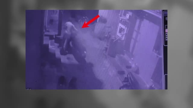 வீட்டு வாசலில் நிறுத்தி வைத்திருந்த பல்சர் பைக் திருட்டு