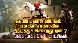 குதிரை சவாரி விபரீதம்.. சிறுவனை சாலையில் இழுத்துச் சென்றது ஏன் ?.. பதை பதைக்கும் காட்சிகள்