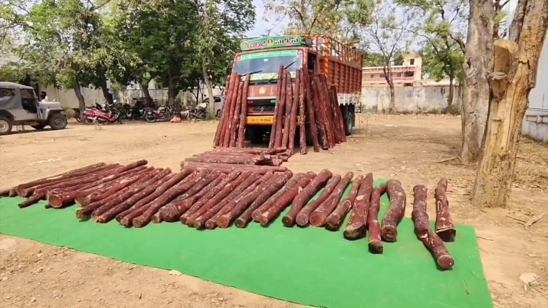 மினி லாரியில் கடத்தப்பட்ட ரூ.11 லட்சம் செம்மரக் கட்டைகள் பறிமுதல்