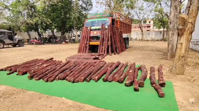 மினி லாரியில் கடத்தப்பட்ட ரூ.11 லட்சம் செம்மரக் கட்டைகள் பறிமுதல்