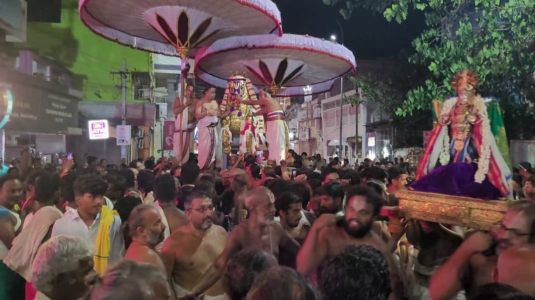 தங்க குதிரை வாகனத்தில் உலா சென்ற வரதராஜ பெருமாள்