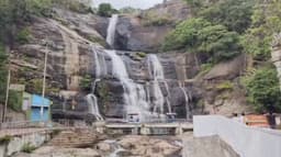 தொடர் கனமழையால் குற்றாலம் அருவிகளில் நீர்வரத்து அதிகரிப்பு..  சுற்றுலாப் பயணிகள் குளிக்கத் தடை..