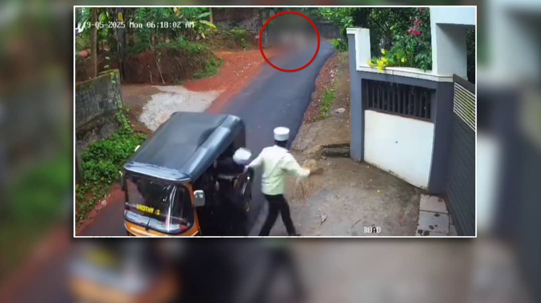 சிறுவனை கடித்து குதறிய நாய்..  கல்லால் அடித்து விரட்டிய நண்பர்கள்..