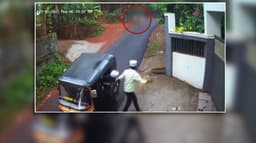 சிறுவனை கடித்து குதறிய நாய்..  கல்லால் அடித்து விரட்டிய நண்பர்கள்..
