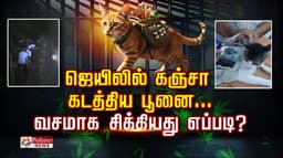ஜெயிலில் கஞ்சா கடத்திய பூனை...வசமாக சிக்கியது எப்படி?..