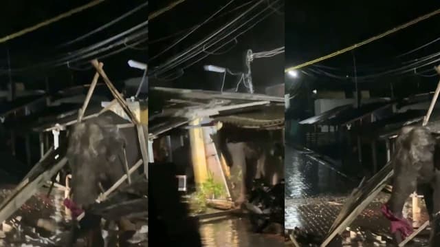 வீட்டை தாக்கி துவம்சம் செய்த காட்டு யானை.. யானையை விரட்டிய வனத்துறையினர்..