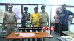 போதை மாத்திரை விற்பனையில் ஈடுபட்ட 2 பேர் கைது