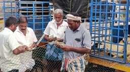பக்ரீத் பண்டிகையை முன்னிட்டு அய்யலூர் வார சந்தையில் ரூ.3 கோடிக்கு வர்த்தகம்