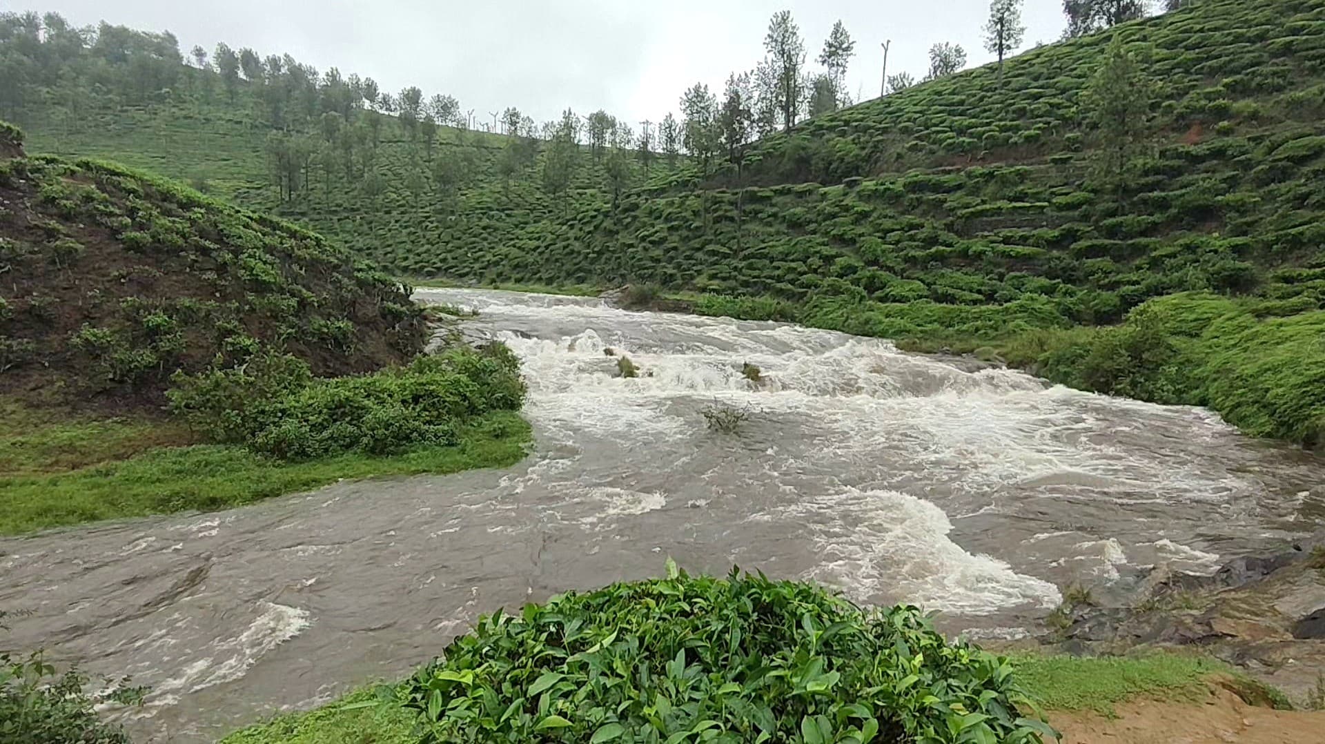 கோவை மாவட்டம் வால்பாறை சுற்றுவட்டாரப் பகுதிகளில் பெய்து வரும் கனமழை