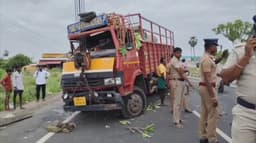 செங்கல்பட்டு அருகே மினி லாரி மரத்தில் மோதி விபத்துக்குள்ளானதால் போக்குவரத்து பாதிப்பு