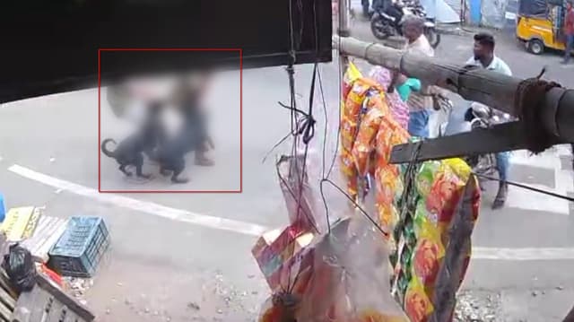 சாலையில் நின்ற ஆட்டோ ஓட்டுநரை கடித்து குதறிய ராட்வீலர் நாய்கள்