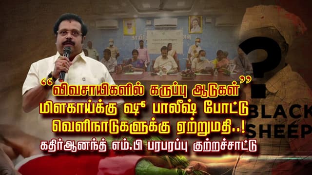 “விவசாயிகளில் கருப்பு ஆடுகள்”மிளகாய்க்கு ஷூ பாலீஷ் போட்டு 
வெளி நாடுகளுக்கு ஏற்றுமதி ..! கதிர்ஆனந்த் எம்.பி பரபரப்பு குற்றச்சாட்டு