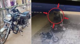 புல்லட் இருசக்கர வாகனத்தை சாவகாசமாக திருடிச் சென்ற நபர்.. போலீசார் விசாரணை..