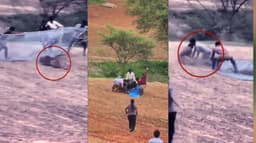 மலையடிவாரத்தில் அரை மயக்கத்தில் கிடந்த  சிறுத்தையை வலைவீசி மடக்கிப் பிடித்த வனத்துறையினர்