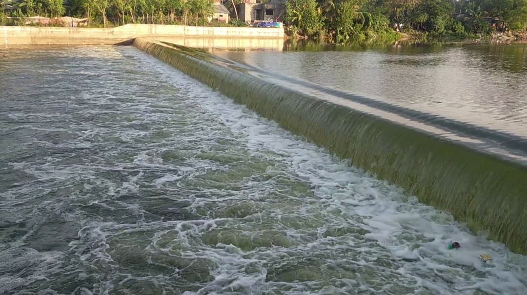 கும்பகோணத்தை வந்தடைந்த மேட்டூர் அணையில் திறக்கப்பட்ட காவிரி நீர்.. ஆற்றில் மலர்தூவி ஆரத்தி எடுத்து வரவேற்பு