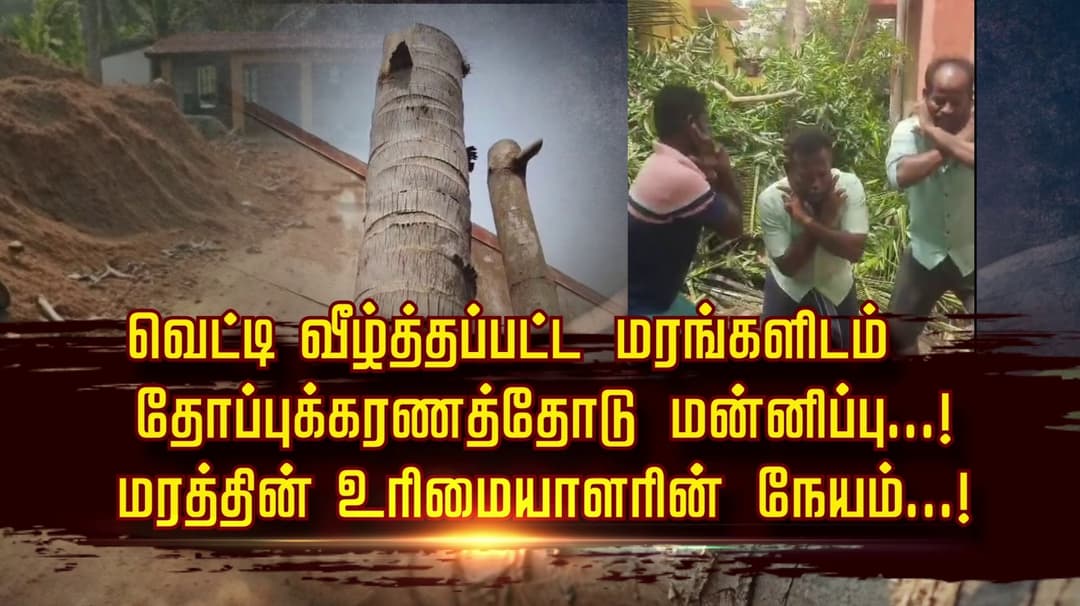 வெட்டி வீழ்த்தப்பட்ட மரங்களிடம் தோப்புக்கரணத்தோடு மன்னிப்பு...! மரத்தின் உரிமையாளரின் நேயம்...!
