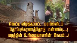 வெட்டி வீழ்த்தப்பட்ட மரங்களிடம் தோப்புக்கரணத்தோடு மன்னிப்பு...! மரத்தின் உரிமையாளரின் நேயம்...!