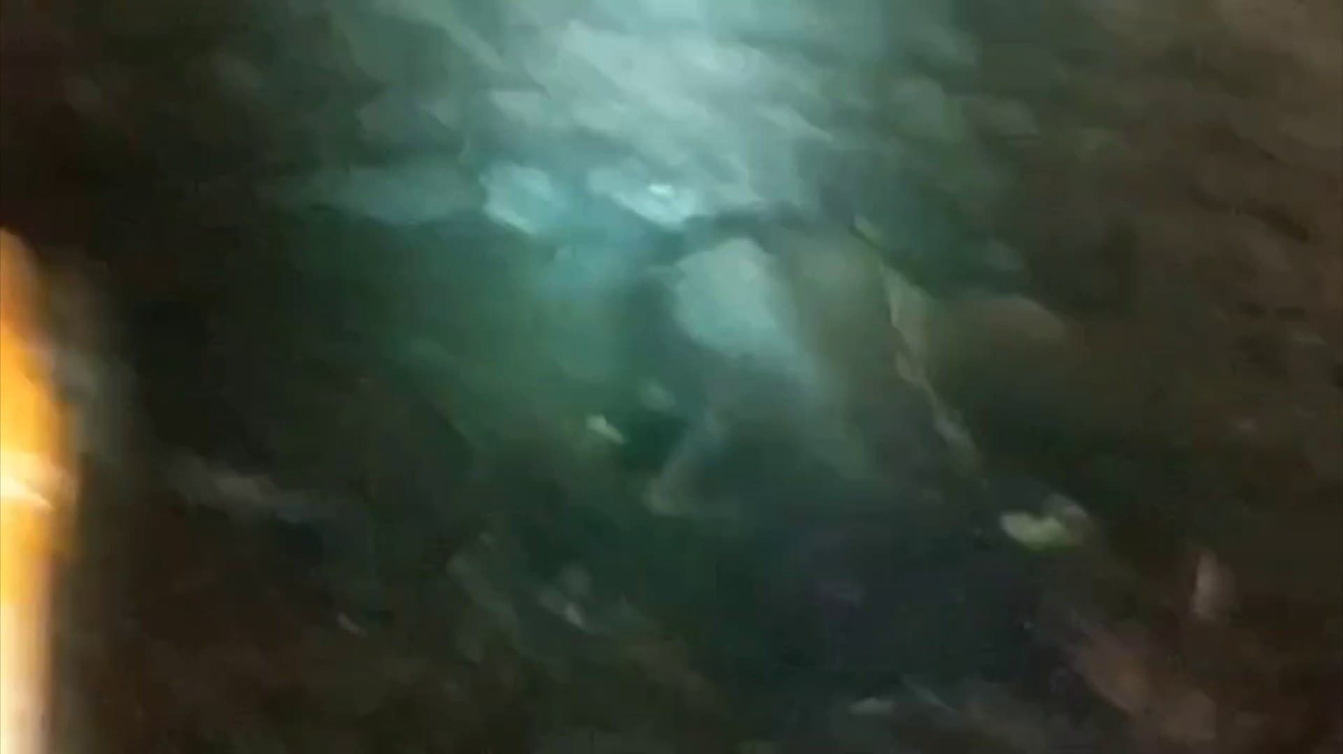 கிருஷ்ணகிரி அருகே கிராமப்புறத்தில் சுற்றித் திரிந்த 20க்கும் மேற்பட்ட காட்டு யானைகளை விரட்டும்போது கிணற்றுக்குள் விழுந்த 2 யானைகள்