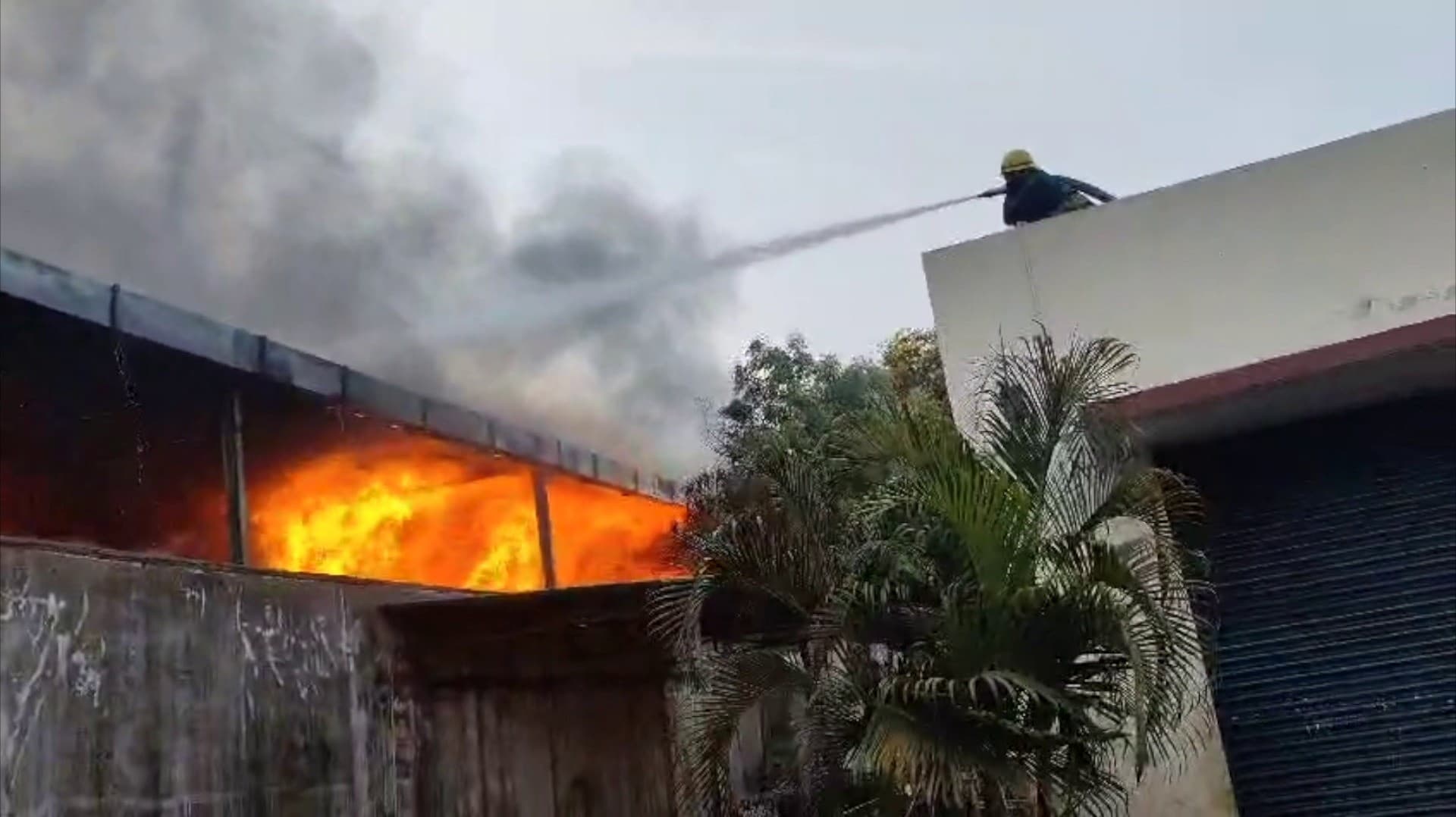 திடீரென  அட்டை தயாரிப்பு தொழிற்சாலையில் ஏற்பட்ட பெரும் தீவிபத்து...