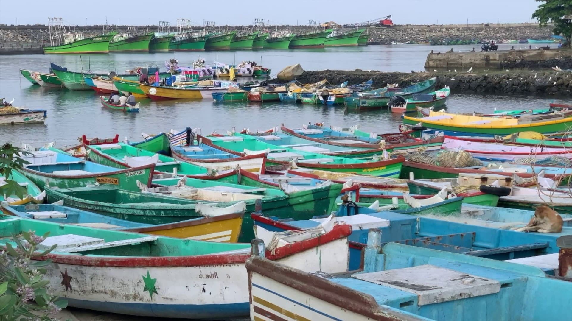 கன்னியாகுமரியில் போப் பிரான்சிஸ் இறுதிச் சடங்கு நடைபெற உள்ள நிலையில் - தமிழக மீனவர்கள் அஞ்சலி