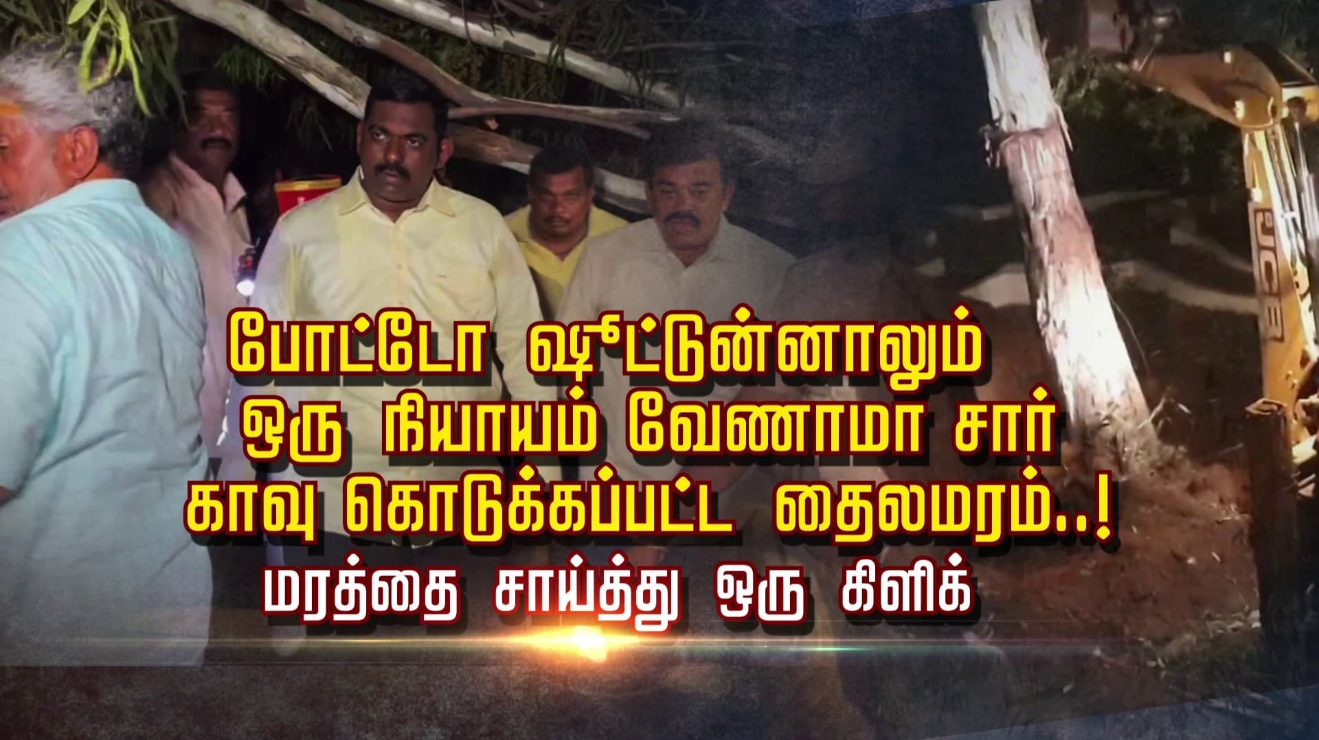 போட்டோ ஷூட்டுன்னாலும் ஒரு நியாயம் வேணாமா சார் காவு கொடுக்கப்பட்ட தைலமரம்..! மரத்தை சாய்த்து ஒரு கிளிக்