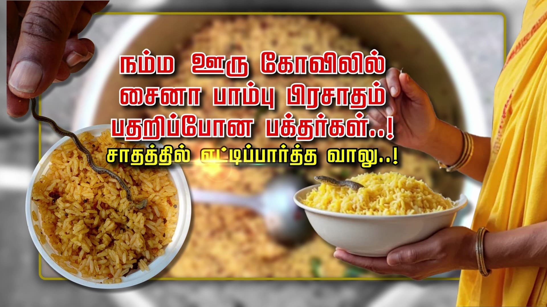 நம்ம ஊரு கோவிலில் சைனா பாம்பு பிரசாதம்.. பதறிப்போன பக்தர்கள்..! சாதத்தில் எட்டிப்பார்த்த வாலு..!