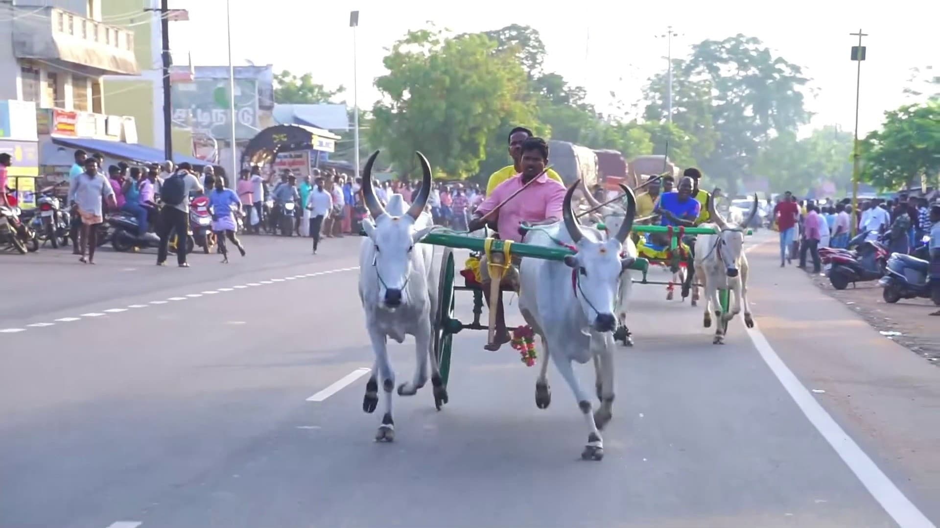 சிவகங்கை அருகே ஒக்கூரில் மாட்டு வண்டி பந்தயம்..!