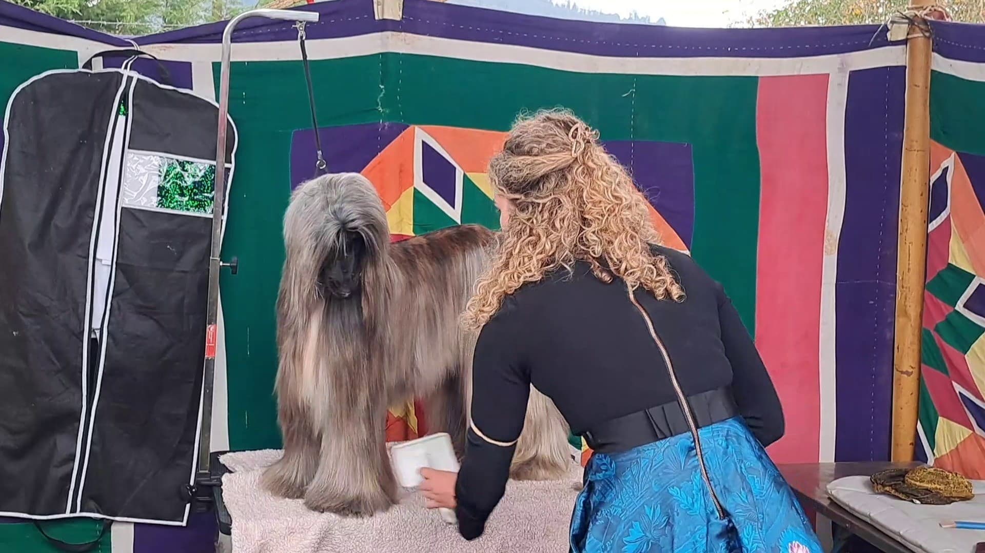 உதகையில் நடைபெற்ற 3 நாள் நாய் கண்காட்சி..! 55 வகையான 450 நாய்கள் பங்கேற்று சுற்றுலாப் பயணிகளைக் கவர்ந்தன..!