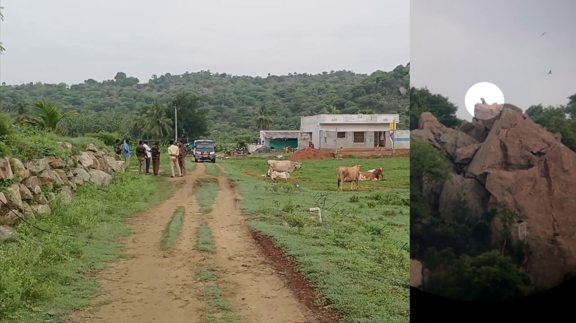 சேலத்தில் கால்நடைகளை தொடர்ந்து வேட்டையாடும் சிறுத்தையை கண்காணித்து வரும் வனத்துறை