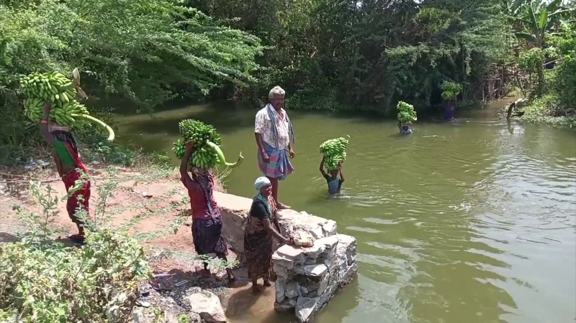 கழுத்தளவு தண்ணீரில் வாழைத்தார் சுமக்கும் தொழிலாளர்கள்.. பின்னணி என்ன?.