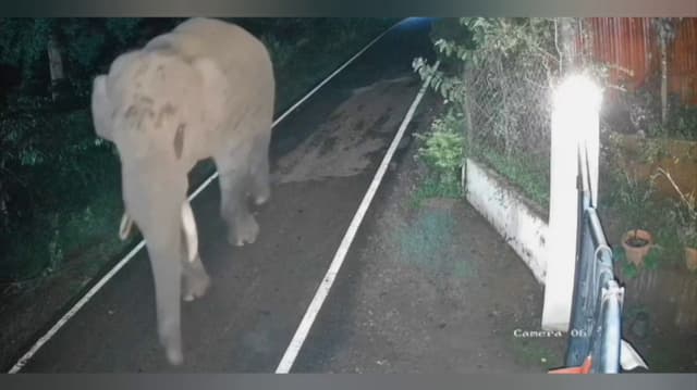 சத்துணவு கூடத்தை உடைத்து அரிசியை சாப்பிட்ட காட்டு யானை.. வனப்பகுதிக்குள் விரட்ட பொதுமக்கள் கோரிக்கை..